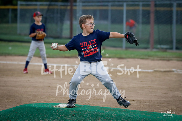 RedBirds-34