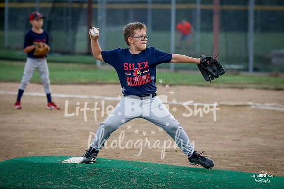 RedBirds-35