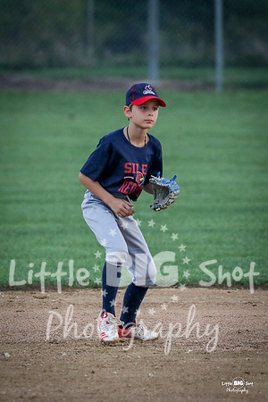 RedBirds-39