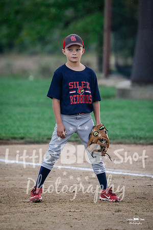 RedBirds-40
