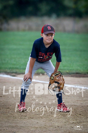 RedBirds-41