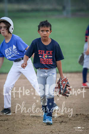 RedBirds-42