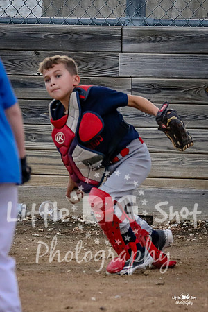 RedBirds-45