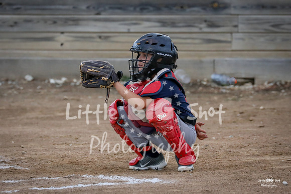 RedBirds-43