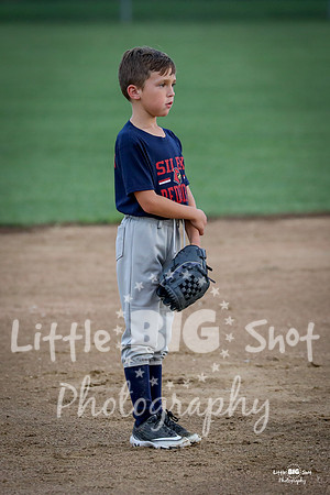 RedBirds-46