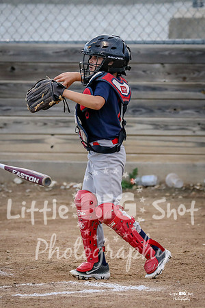 RedBirds-47