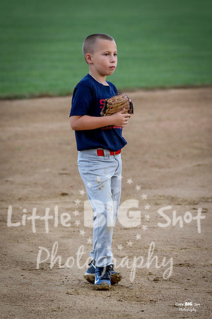 RedBirds-48