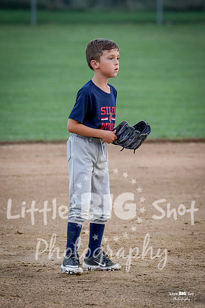 RedBirds-49