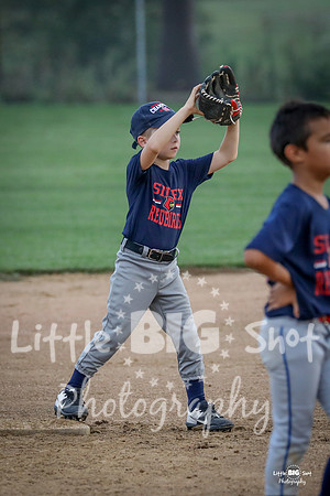 RedBirds-50