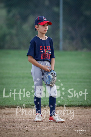 RedBirds-53
