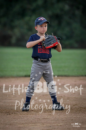 RedBirds-55