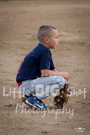 RedBirds-54