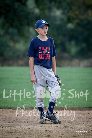 RedBirds-56