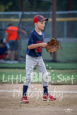 RedBirds-57