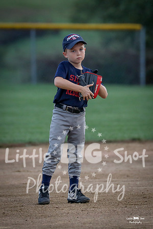 RedBirds-58
