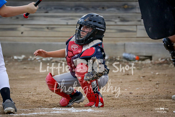 RedBirds-59
