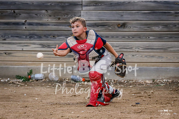 RedBirds-61