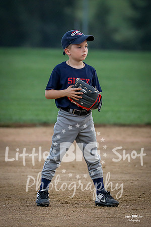 RedBirds-51