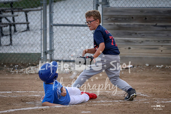 RedBirds-60