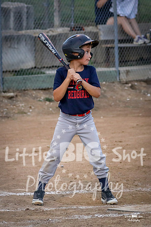 RedBirds-62