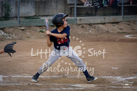 RedBirds-63