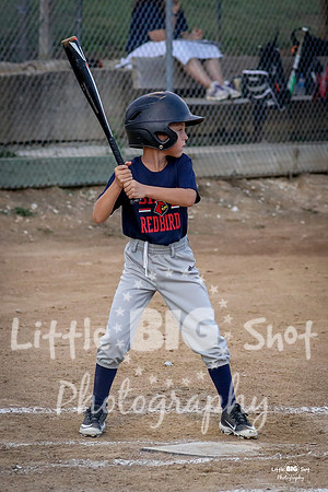 RedBirds-65