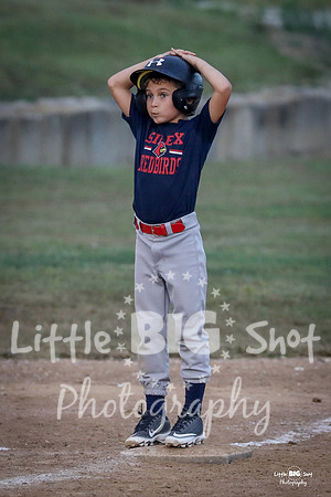RedBirds-67