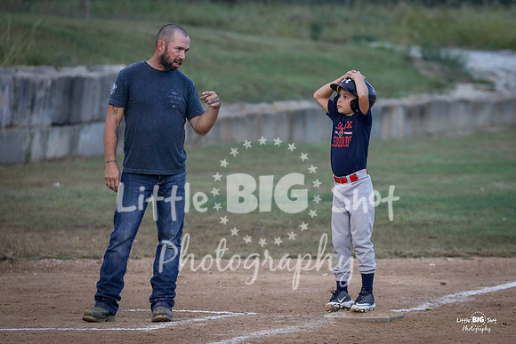 RedBirds-68