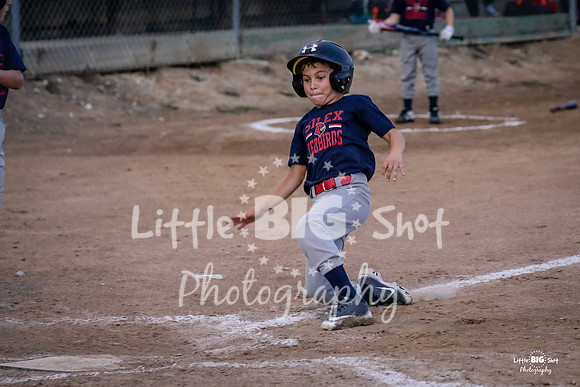 RedBirds-70
