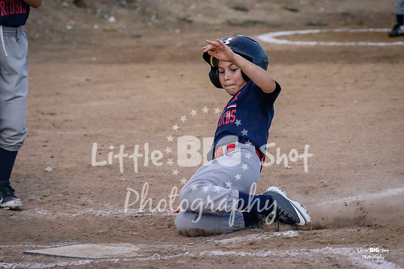 RedBirds-71