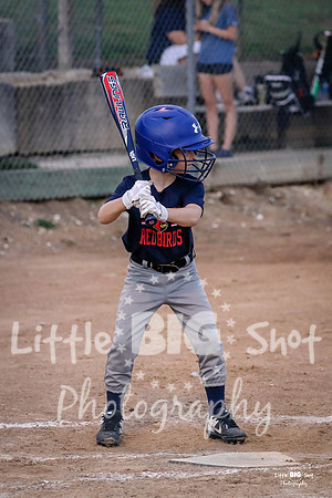 RedBirds-72