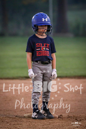 RedBirds-75