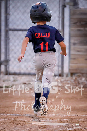 RedBirds-78
