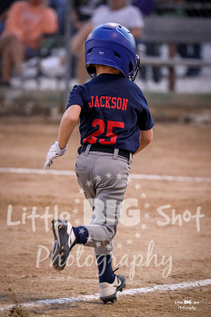 RedBirds-79