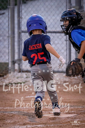 RedBirds-80