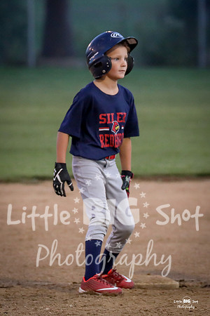RedBirds-81