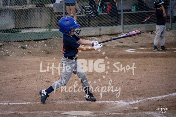RedBirds-73