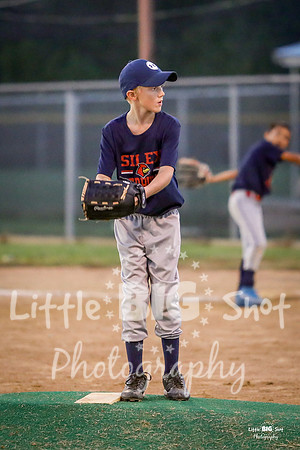RedBirds-84