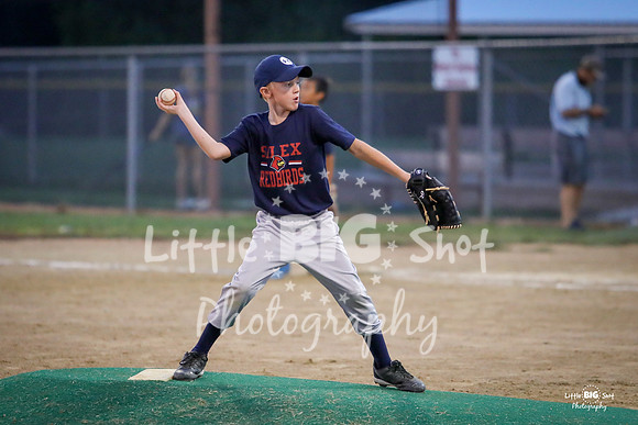 RedBirds-86