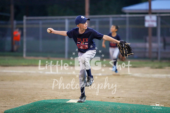 RedBirds-85
