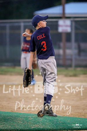 RedBirds-88