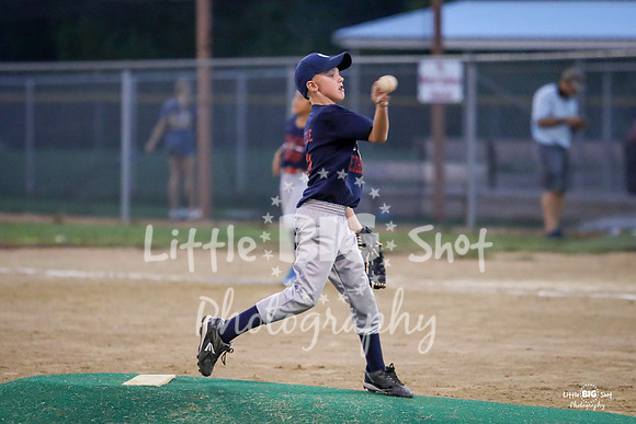 RedBirds-87