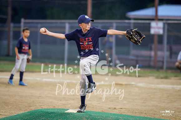 RedBirds-89