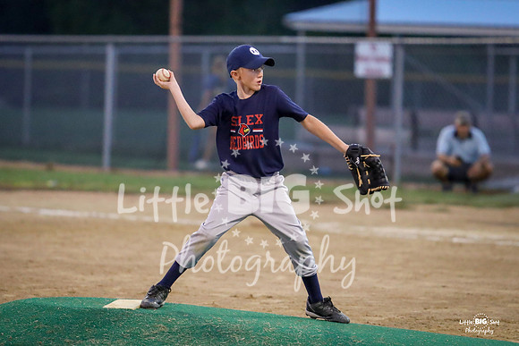RedBirds-91