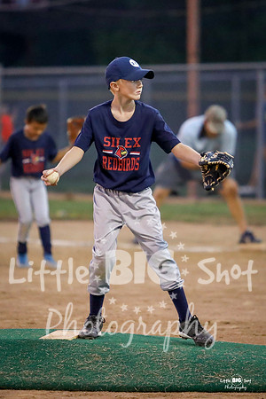 RedBirds-93