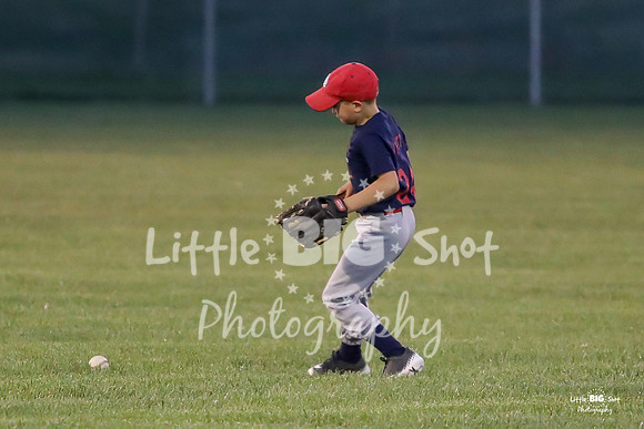 RedBirds-94