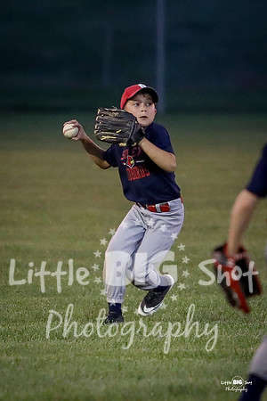 RedBirds-95
