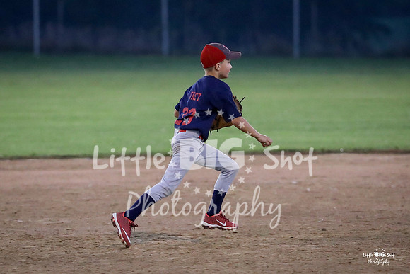 RedBirds-96