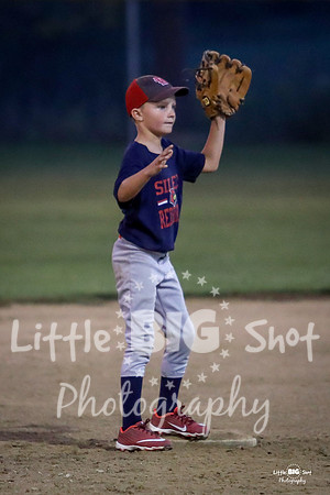 RedBirds-97