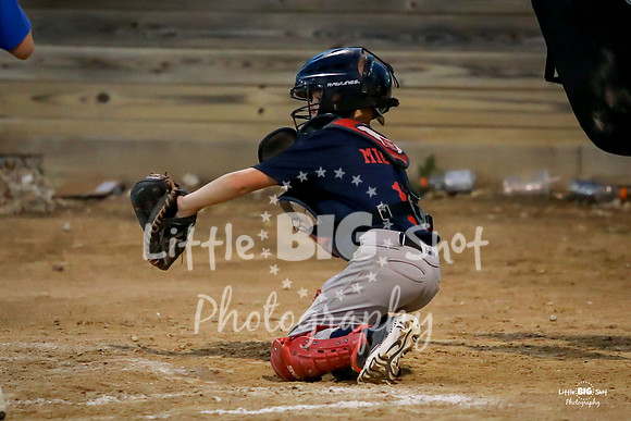 RedBirds-99